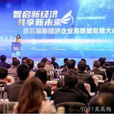 9091美高梅</a>荣登“2024中国新经济企业TOP500”